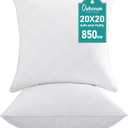 Oubonun 20x20 Throw Pillows Inserts Pack of 2, Decorative White Square Pillow Inserts, Premium Fluffy Pillow Insert Pair for Sofa Couch Living Room