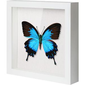 QDSSDECO 12x12 Shadow Box Frame with Linen Backboard & Real Glass, Wood Display Case, Deep Showcase to Hang The Photos, Tickets, Wedding Bouquets, Medals, Baby Sports Memorabilia,White