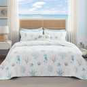 Bedsure Coastal Quilt Set Queen - Reversible Summer Beach Quilt Bedding Set, 3 Pieces Microfiber Lightweight Bedspread, Blue & White Coverlet with 2 Pillow Shams for All Seasons (90"x96")