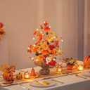 BLOSMON Thanksgiving Centerpieces for Dinner Table: 19.7 Inch Fall Indoor Home Decor Faux Tree with Timer 30 LED Lights - Artificial Pumpkin Berry Maple Leaf Pine Cone Trees Autumn Decoration (Orange & Red)