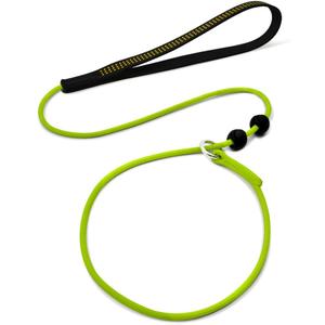 Slip Leads for Dogs,Top Speed Training Dogs Slip Lead,2-in-1 Slip Collar Dog Training Lead & Collar, Leash Suitable for Small, Medium, and Large Dogs Training leash6FT (Green)