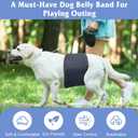 5 Pack Dog Diapers Male Reusable, Premium Belly Bands for Dogs, High Absorbing Male Dog Pee Wraps for Doggie in Incontinence or Excitable Urination, S