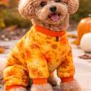 Fall Dog Outfit, Cute Dog Halloween Costumes, M