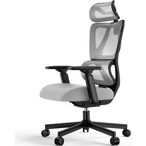 ProtoArc Ergonomic Office Chair, EC100 Big and Tall Mesh Computer Desk Chair with 30% Thicker Saddle Shaped Spring Cushion, Lumbar Support, Adjustable Headrest, Armrest for Home and Office - Gray