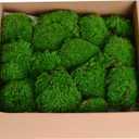 1.5 Sq. Ft. Preserved Moss Pole Decorative Moss for Crafts, Art, Wall Decor,Dark Green