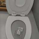 Mayfair NextStep2 Toilet Seat with Built-In Potty Training Seat, Slow-Close, Removable that will Never Loosen, Elongated, White