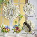 Spring Wreath for Front Door, 24 Inch White Cream Forsythia Spring Wreath Blossom Cluster Flower Farmhouse on Grapevine for Front Door Wall Window Hanging Decor Festival Celebration