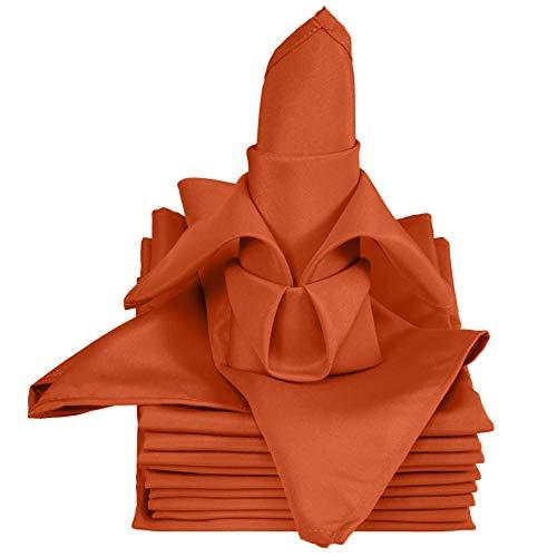 TableLinensforLess 20x20 Inch Hemmed SimplyPoly XL Cloth Napkins Set of 12 (Burnt Orange)