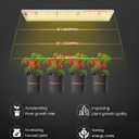 Spider Farmer SF300 LED Grow Lights Sunlike Full Spectrum Plant Growing Lamp for Indoor Plants Seeding Veg Flower Energy Saving & High Efficiency Grow Light for 2x2.5 ft Coverage
