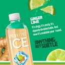 Sparkling Ice, Ginger Lime Sparkling Water, Zero Sugar Flavored Water, with Vitamins and Antioxidants, Low Calorie Beverage, 17 fl oz Bottles (Pack of 12) (EXP 02/11/27)