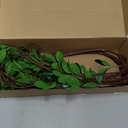 Htmeing Artificial Eucalytus Green Branches Faux Ficus Twig Home Office Shop Decoration (2PCS)