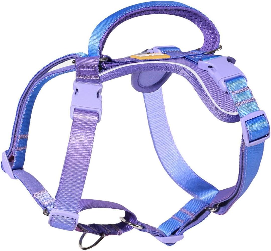 DF Freedom No Pull Martingale Dog Harness, Gentle Control for No Choking, Front Clip Harness with Reflective, Adjustable & Padded Handle for Easy Walking & Training, Rainbow, 3/4", Chest 20"-26.8"