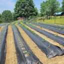 6ft x 300ft Durable Weed Barrier Fabric, 3.2oz Heavy-Duty Landscaping Fabric, Permeable Ground Cover for Garden, Lawn, and Outdoor Projects, Easy to Install, with 90 Staples