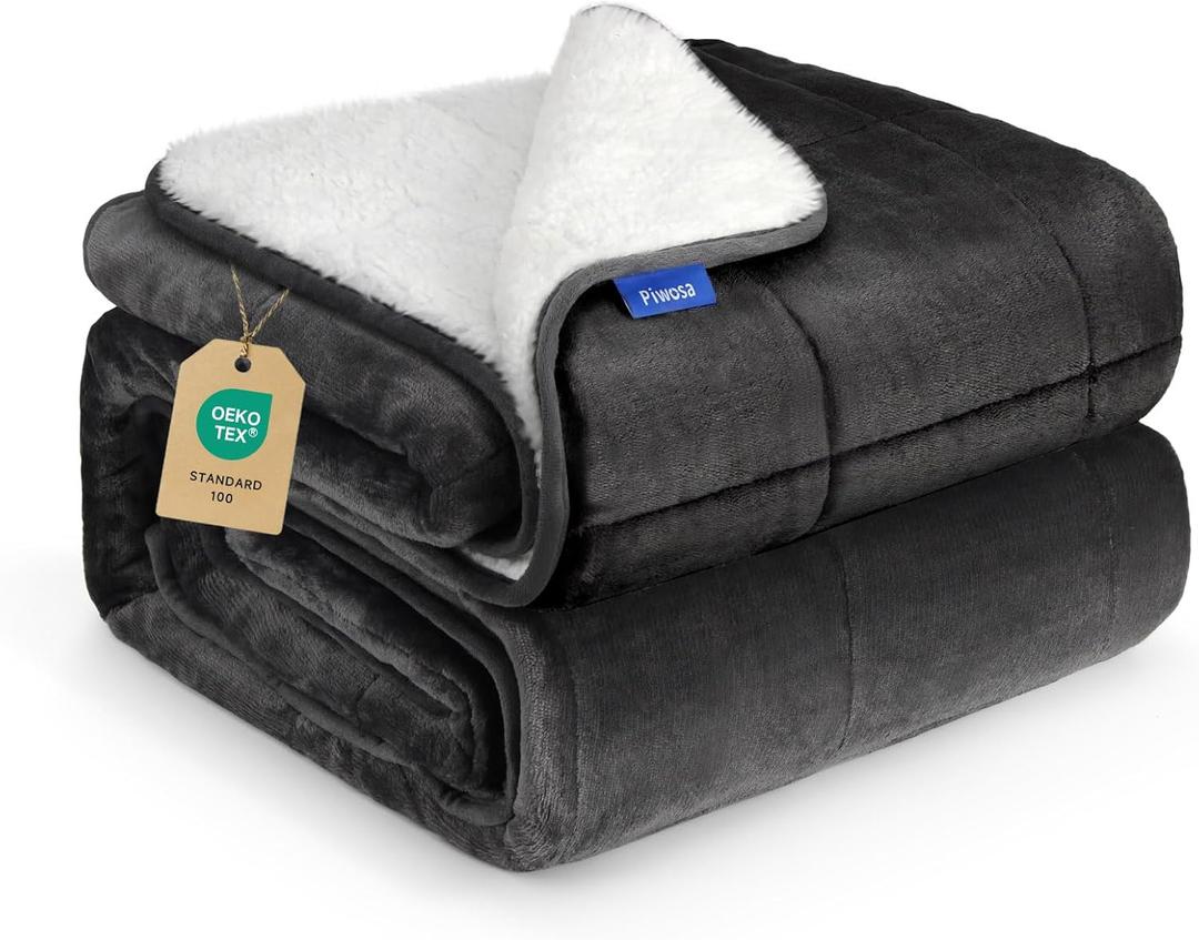Weighted Blanket for Adults 15 Pounds 60x80 inches, Sherpa Fleece Throw Blanket Queen Size with Soft Plush Flannel Top, Fuzzy Fluffy Cozy Warm and Thick Heavy Blanket for Winter (Grey)