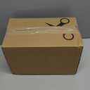 Garden Pumice Rock Horticultural Cactus Bonsai Succulent Soil Additive for Plants, Landscaping, Vase Fillers (1/2 inch, 10QT)