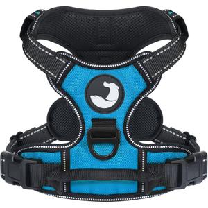 Joytale No Pull Dog Harness Medium Sized Dog, Reflective Pet Vest with Front Clip, Adjustable Soft Padded Harnesses with Easy Control Handle for Training and Walking, Sky Blue, M (Medium, SkyBlue)