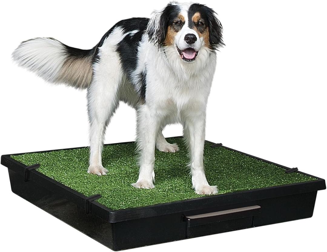 PetSafe Pet Loo Portable Dog Potty,Toilet Alternative for Puppy Pads, Perfect for House Training, Easy-to-Clean Grass Mat, Large