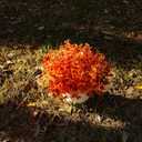 Outdoor Artificial Flowers, 8 Bundles Fake Flowers Autumn Decoration, No Fade Faux Plastic Shrubs for Garden Patio Porch Window Box Decor (Fall Orange)