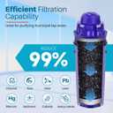 ICEPURE PPF001 Pitcher Water Filter Replacement for Pur CRF950Z, PPF951K, PPT700W, CR-1100C, DS-1800Z, CR-6000C, PPT711W, PPT711, PPT710W, PPT111W, PPT111R Pitchers and Dispensers,3PACK