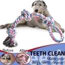 XIGOU Indestructible Dog Toys - Tough Puppy Chew Toys for Aggressive Chewers, Dental Cleaning Tug of War Toy, Great for Small to Large Breeds