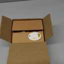 Cat Stealing Money Bank, Piggy Bank for Kids, Coin Bank for Money Saving, Automatic Stealing Money with English Speaking, Creative Gift (Lucky Cat)