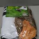 Morph Inflatable Skeleton Dinosaur Costume Kids, TRex Blow Up Skeleton Dinosaur Costume, Inflatable Dino Costume Kids