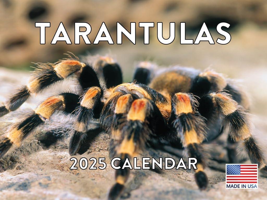 Tarantula Calendar 2025 Monthly Wall Calender | American Made In The USA