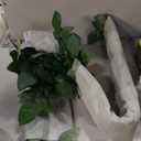 Ling's moment Artificial Patina Rose Leaf Greenery Garland - 6 Pack, Candle Vines, Splicable 2.3ft Stems for Table Centerpieces, Lantern Rings, Backdrop Floral Arrangements & Wedding Arches