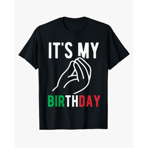 It's My Birthday Party Italia Italy Funny Italian Birthday T-Shirt Size 2T Kids sized