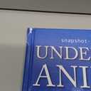 Snapshot Picture Library Underwater Animals