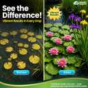VitaPlant Pond Plant Fertilizer – Liquid Aquatic Plant Food for Water Lilies & Aquatic Plants, Supports Lush Growth & Vibrant Color, 500 mL, Aquatic Experts