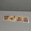 Nuanchu Fall Pressed Flowers Bulk Dried Flower for Crafts Autumn Orange Dried Wildflowers Natural Leave with Tweezer Fall Craft Supplies for Resin Mold Scrapbooking Nail Soap Making DIY Art Crafts (Vivid Color)