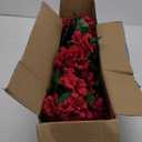 Hananona 12 Bundles Artificial Geranium Flowers for Outdoors Silk Geranium Flowers Outdoor UV Resistant Garden Plants Faux Flowers for Home Kitchen Table Centerpieces Decor (12, Red)