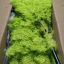 Bendable Christmas Tree Whimsical Christmas Pre-Lit Lime Green Stole Bent Top Artificial Xmas Tree Decorations with LED Lights Ornament Bag(7.5ft)