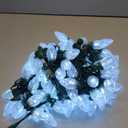 AWQ 100LED 81 FT C9 Christmas String Lights Plug in Fairy Twinkle String Lights 8 Modes Timer Function Waterproof Extendable for Indoor Outdoor Wedding Party Christmas Decoration (100, White)