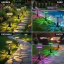 Eyrosa Solar Pathway Lights, Large Outdoor Garden Decor Stainless Steel Lights with Elegant Pattern, Dual-Zone Lighting, 8 Color Modes, IP55 Waterproof Landscape Lighting for Yard Walkway, 6 Pack