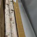 5 Pcs White Birch Poles 4 ft 1.5-2.5" Diameter Natural Wood Sticks