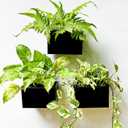 LaLaGreen Wall Planter (3 Pack, 6 Inch) Wall Mount Planters for Succulents Black, Rectangular Hanging Metal Flower Pot, Long Window Boxes Fence Air Plants Holders Floating Garden Shelf for Deck Indoor