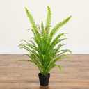Nearly Natural 3ft UV Resistant Artificial Boston Fern Potted Plant Real Touch Leaves Indoor Outdoor