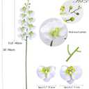 Fnize Faux Orchid Stems Real Touch Artificial Phalaenopsis Flowers Latex Petals 38 Inches 2pcs (Green White)