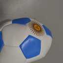 Dreamecho Argentina Three Star World Champions Sports Outdoor Field Training Match Football Ball Kids Adults Gift Size 5