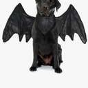 Onmygogo Funny Pet Reindeer Moose Costumes for Dog, Cute Furry Pet Wig for Halloween Christmas, Pet Clothing Accessories