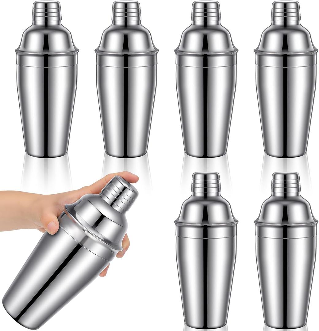 6 Pcs Stainless Steel Cocktail Shaker 18.6 oz Professional Martini Mixer Shaker with Built-in Strainer, Bar Drink Mixer Bartending for Bar Party Home Drink Mixing Tool (Silver)