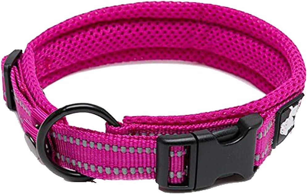 Truelove Dog Collar Reflective Premium Duraflex Buckle,High Grade Nylon Webbing No Choke Basic Collars TLC5011(Fushcia,M)