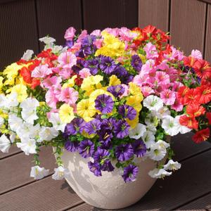 Artificial Flowers for Outdoors, UV Resistant Fake Silk Morning Glory, Realistic Faux Plants for Outside Porch Patio Window Box Hanging Planter (16, Purple White Yellow Pink Red)