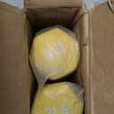 Amazon Basics Vinyl Coated Dumbbell Hand Weights, 2 lbs Pair
