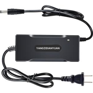 54.6V 2A Lithium Battery Charger for 48V Li-ion Packs, Smart Auto Shut-Off | Dual Plug (5.5x2.1mm/2.5mm),100-240V AC Input |,FCC/CE Certified