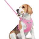 rabbitgoo Dog Harness Small Medium Sized and Leash Set, Step in Soft Light Puppy Vest, Breathable Mesh Pet Harness, Reflective for Safe Easy Walking, Light Pink L (L (Chest: 18.2 - 20.5"))
