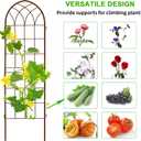 LZRS 2 Pack Rustic Iron Arch Decoration Garden Trellis with Metal Coating Perfect for Supporting Climbing Plants Outdoor, Roses, Vines, Flowers, and Vegetables, Brown