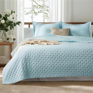 Bedsure Quilts Queen Size - Ultra Soft Queen Quilt Bedding for Modern & Coastal Bedrooms, Lightweight All-Season Comforter, Sky Blue Bedspread Coverlet 90x96 Inch Bedsure Quilts Queen Size - Ultra Soft Queen Quilt Bedding for Modern & Coastal Bedrooms, Lightweight All-Season Comforter, Sky Blue Bedspread Coverlet 90x96 Inch